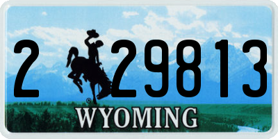 WY license plate 229813