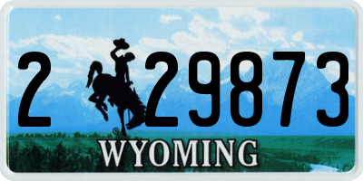 WY license plate 229873