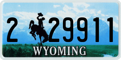 WY license plate 229911
