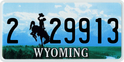 WY license plate 229913