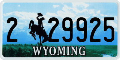 WY license plate 229925