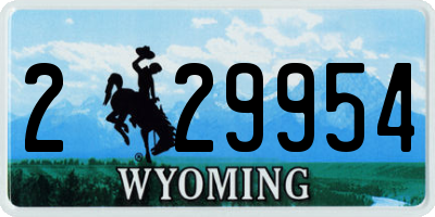WY license plate 229954