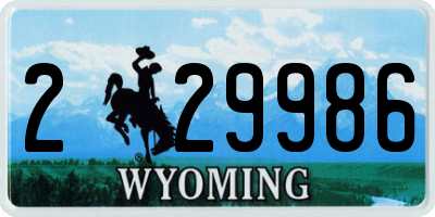 WY license plate 229986