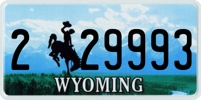 WY license plate 229993