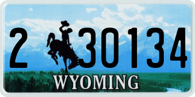 WY license plate 230134