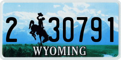 WY license plate 230791