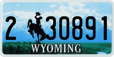 WY license plate 230891