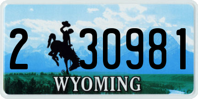 WY license plate 230981