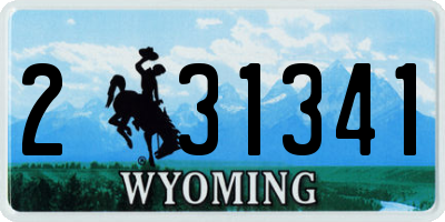 WY license plate 231341