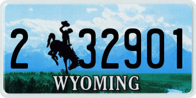 WY license plate 232901