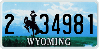WY license plate 234981