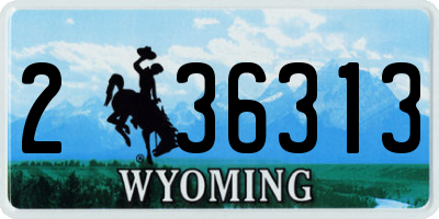 WY license plate 236313