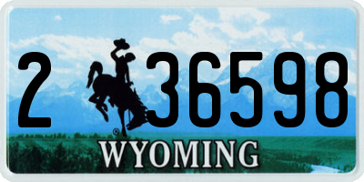 WY license plate 236598