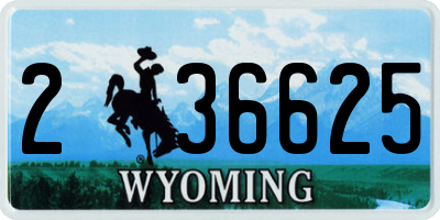 WY license plate 236625