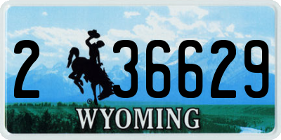 WY license plate 236629