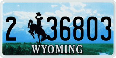 WY license plate 236803