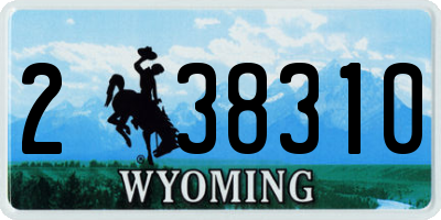 WY license plate 238310