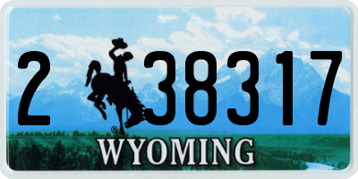 WY license plate 238317
