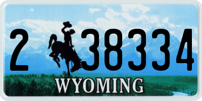 WY license plate 238334