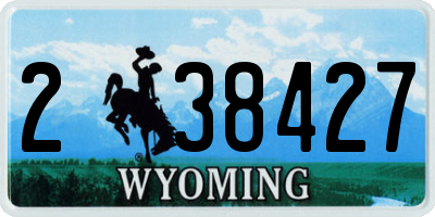 WY license plate 238427