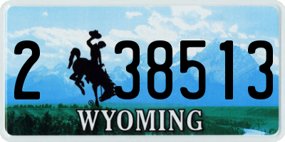 WY license plate 238513