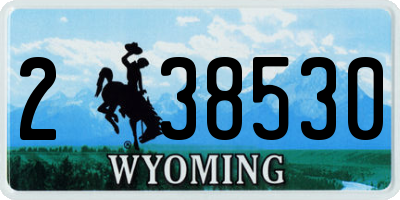 WY license plate 238530