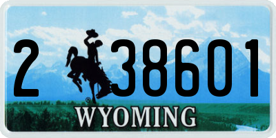 WY license plate 238601