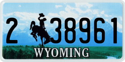 WY license plate 238961