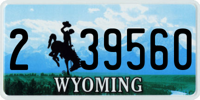 WY license plate 239560