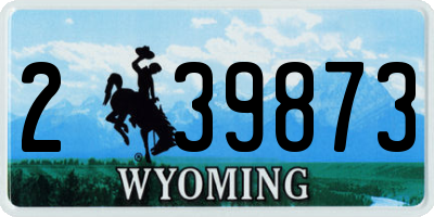 WY license plate 239873