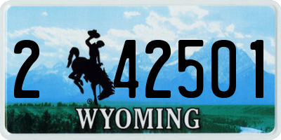 WY license plate 242501