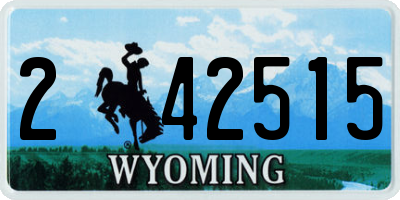 WY license plate 242515
