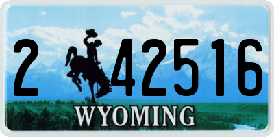 WY license plate 242516