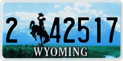 WY license plate 242517