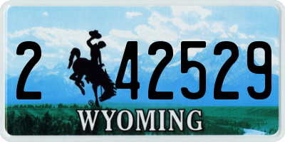 WY license plate 242529