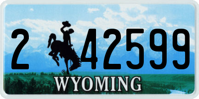 WY license plate 242599