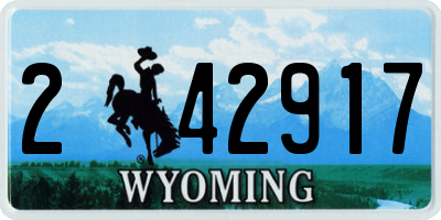 WY license plate 242917
