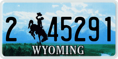 WY license plate 245291
