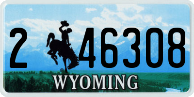 WY license plate 246308