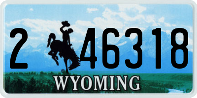 WY license plate 246318