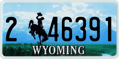 WY license plate 246391