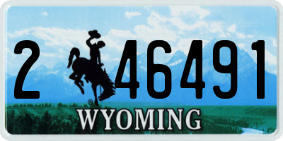 WY license plate 246491