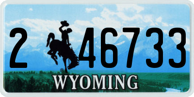 WY license plate 246733