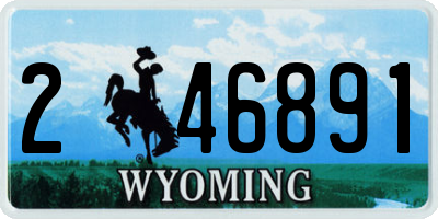 WY license plate 246891