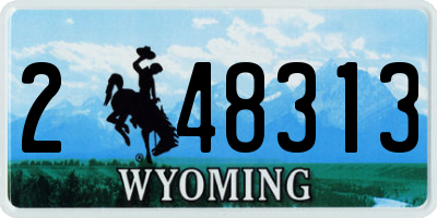 WY license plate 248313