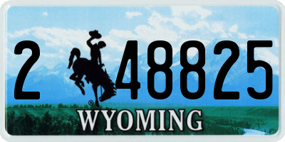 WY license plate 248825