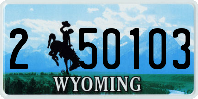 WY license plate 250103
