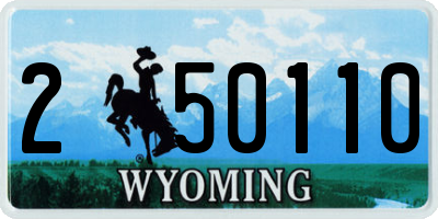 WY license plate 250110