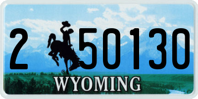 WY license plate 250130