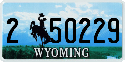 WY license plate 250229